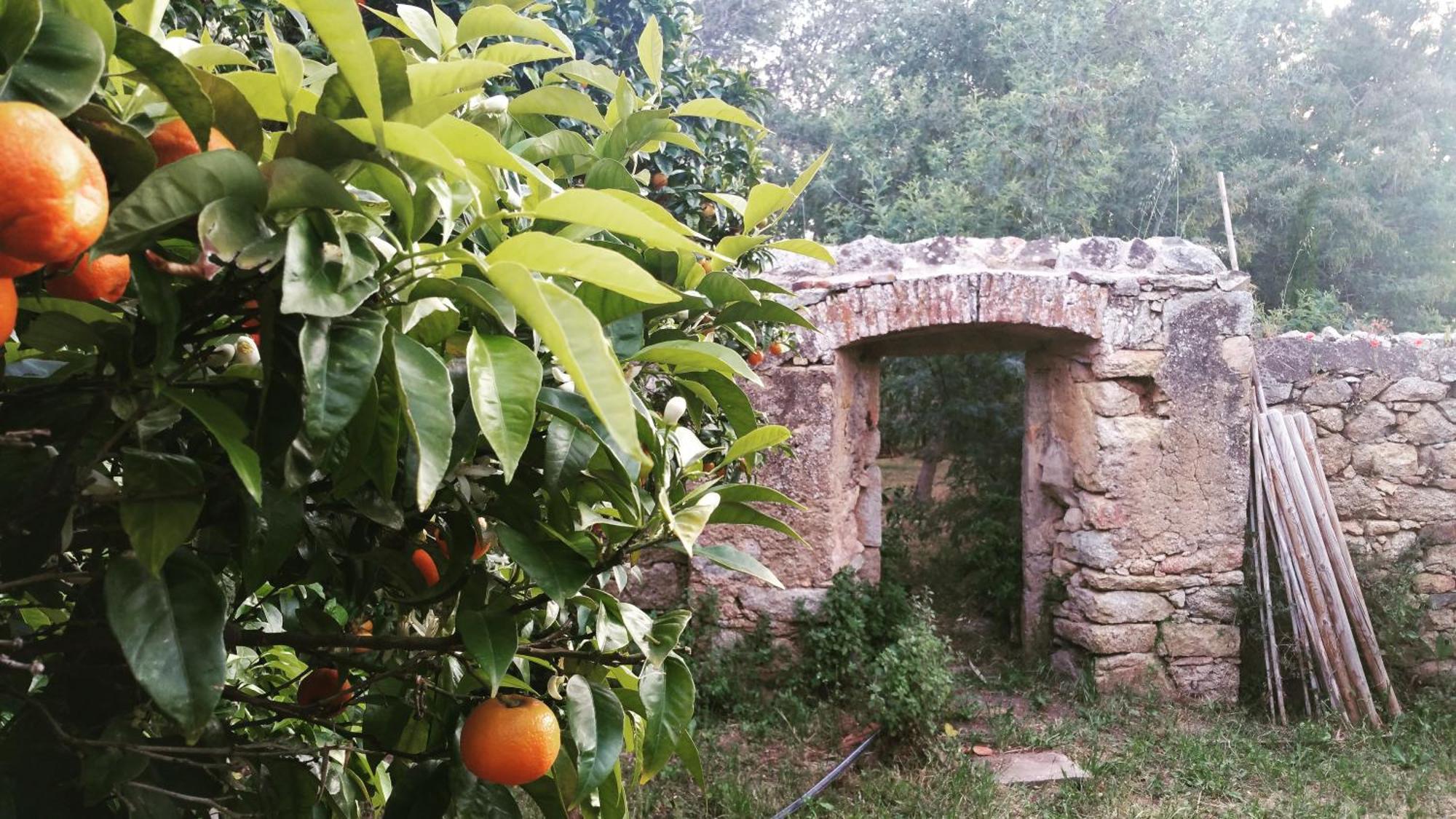 Casa Orsoni *