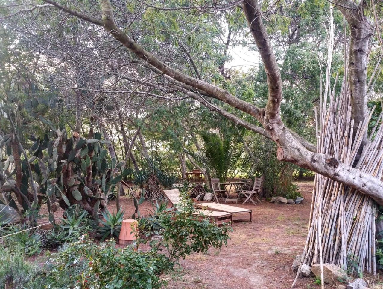 Casa Orsoni Appartement Calvi (Corsica)