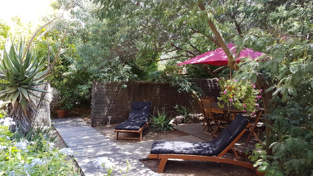 Appartement Casa Orsoni Calvi (Corsica)